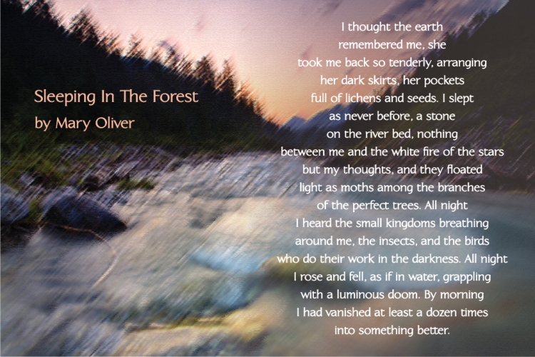 mary oliver poem with riverbed